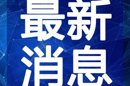 鲁迅最新爆料新闻视频播放,揭秘历史真相,视频播放引发热议